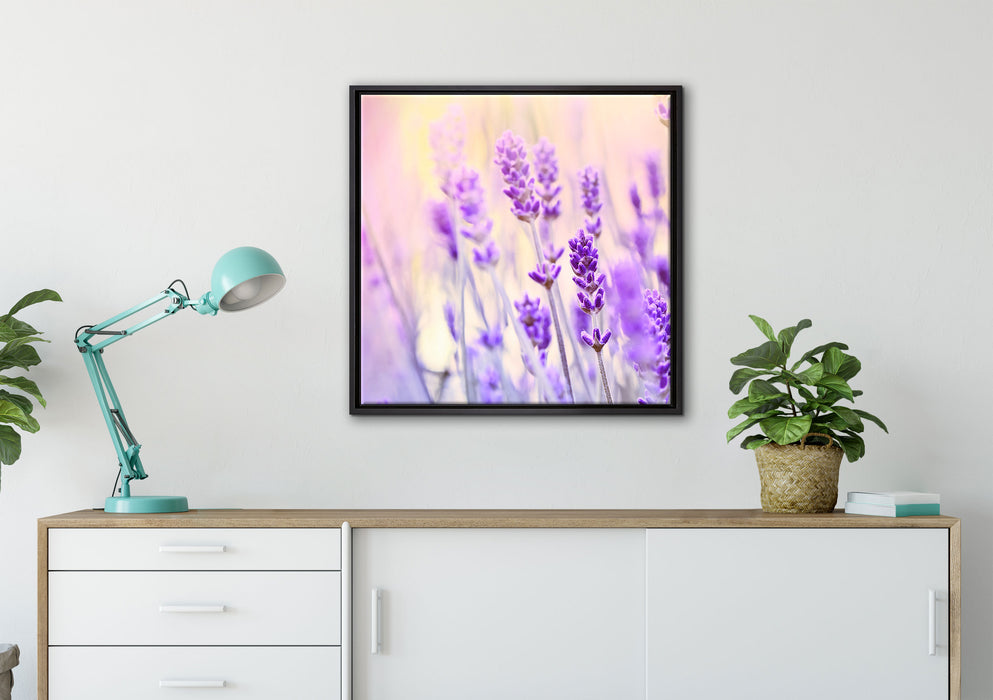 Lavendel im Retro Look auf Leinwandbild gerahmt Quadratisch verschiedene Größen im Wohnzimmer