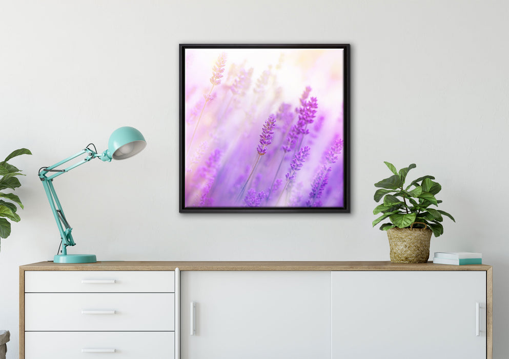 Schöner Lavendel im sanften Licht auf Leinwandbild gerahmt Quadratisch verschiedene Größen im Wohnzimmer