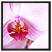 Prächtige Rosa Orchidee auf Leinwandbild Quadratisch gerahmt Größe 60x60