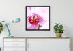 Prächtige Rosa Orchidee auf Leinwandbild gerahmt Quadratisch verschiedene Größen im Wohnzimmer