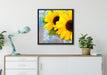 Sonnenblumen auf Holztisch auf Leinwandbild gerahmt Quadratisch verschiedene Größen im Wohnzimmer