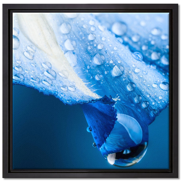 Regentropfen auf Blütenblättern auf Leinwandbild Quadratisch gerahmt Größe 40x40