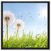 Pusteblumen auf Frühlingswiese auf Leinwandbild Quadratisch gerahmt Größe 60x60