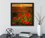 Mohnwiese im Sonnenuntergang  auf Leinwandbild Quadratisch gerahmt mit Kirschblüten