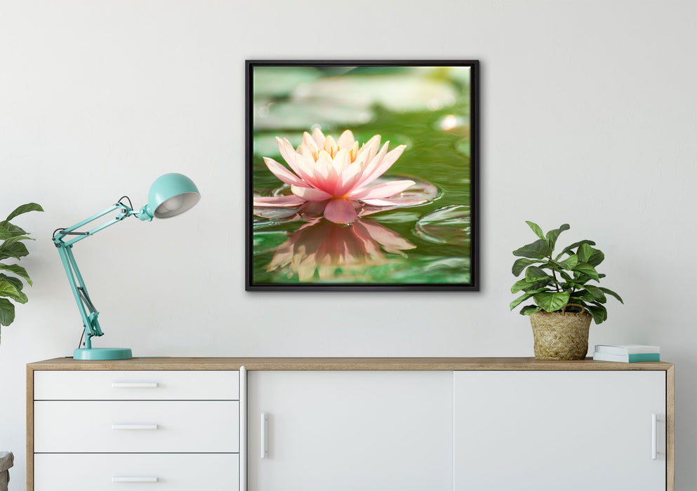 Seerose Wasseroberfläche auf Leinwandbild gerahmt Quadratisch verschiedene Größen im Wohnzimmer