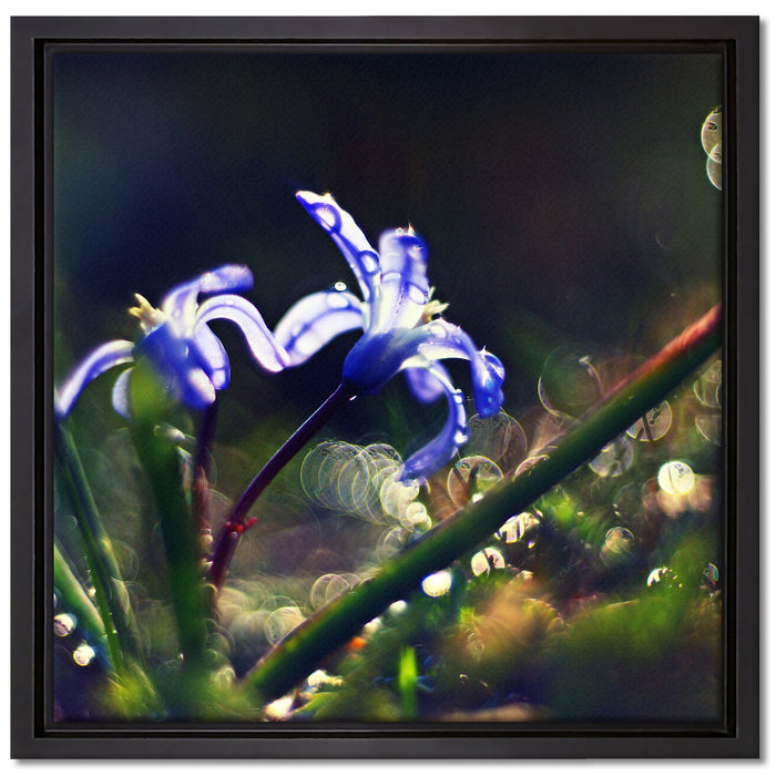 Wiesenblumen Morgen auf Leinwandbild Quadratisch gerahmt Größe 40x40