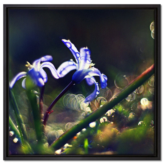 Wiesenblumen Morgen auf Leinwandbild Quadratisch gerahmt Größe 60x60