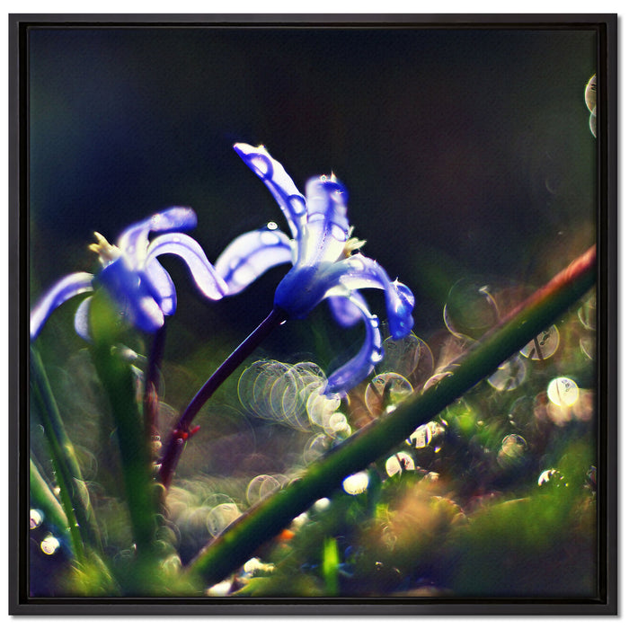 Wiesenblumen Morgen auf Leinwandbild Quadratisch gerahmt Größe 70x70