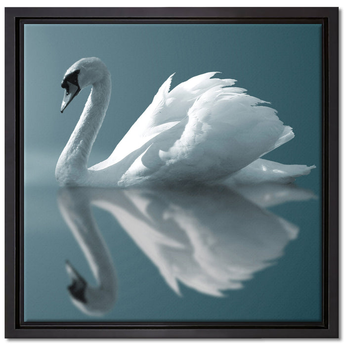 Edler weißer Schwan auf See auf Leinwandbild Quadratisch gerahmt Größe 40x40