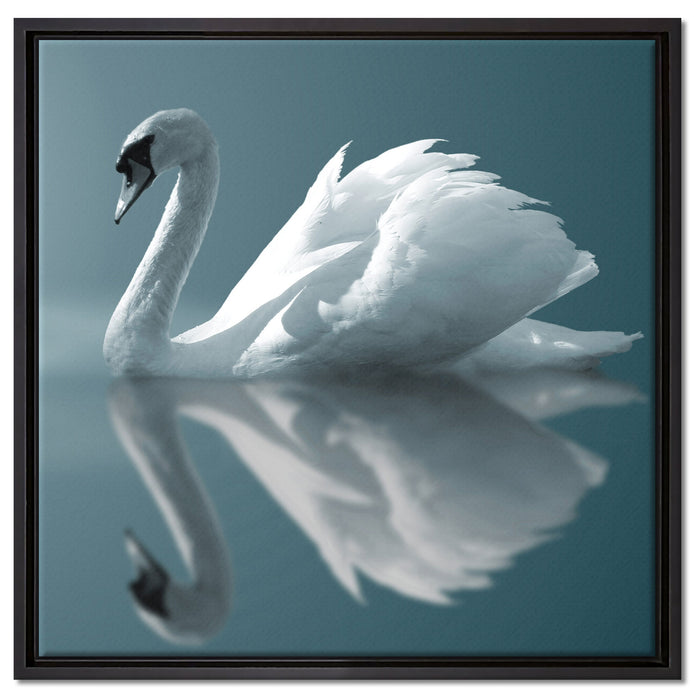 Edler weißer Schwan auf See auf Leinwandbild Quadratisch gerahmt Größe 60x60