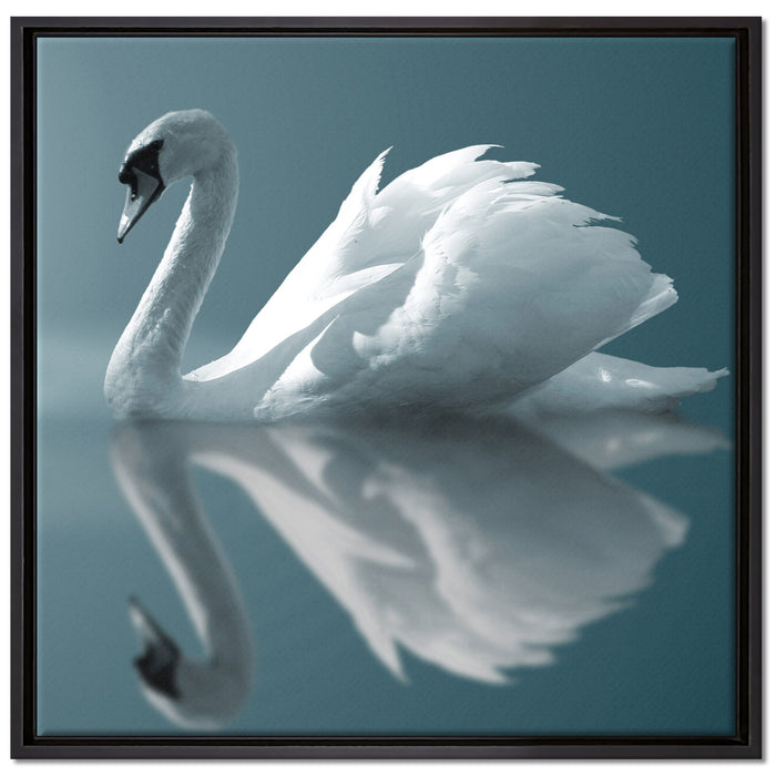 Edler weißer Schwan auf See auf Leinwandbild Quadratisch gerahmt Größe 70x70