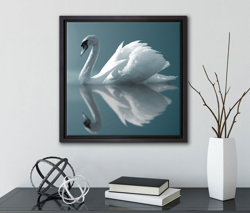 Edler weißer Schwan auf See  auf Leinwandbild Quadratisch gerahmt mit Kirschblüten