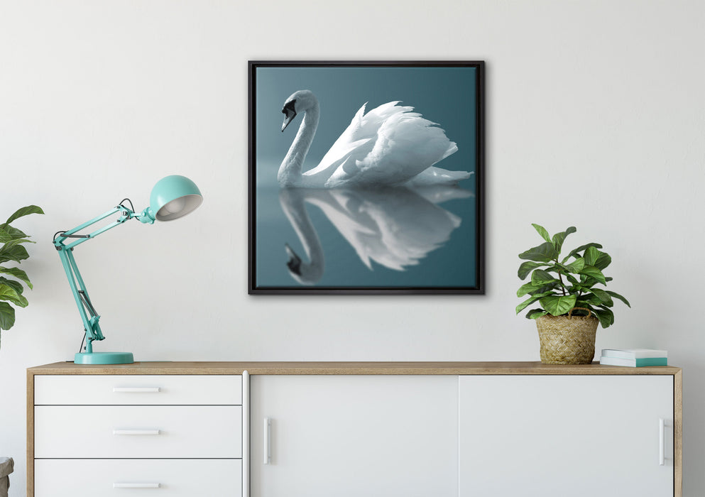 Edler weißer Schwan auf See auf Leinwandbild gerahmt Quadratisch verschiedene Größen im Wohnzimmer
