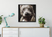 Lachender Pitbull auf Leinwandbild gerahmt Quadratisch verschiedene Größen im Wohnzimmer