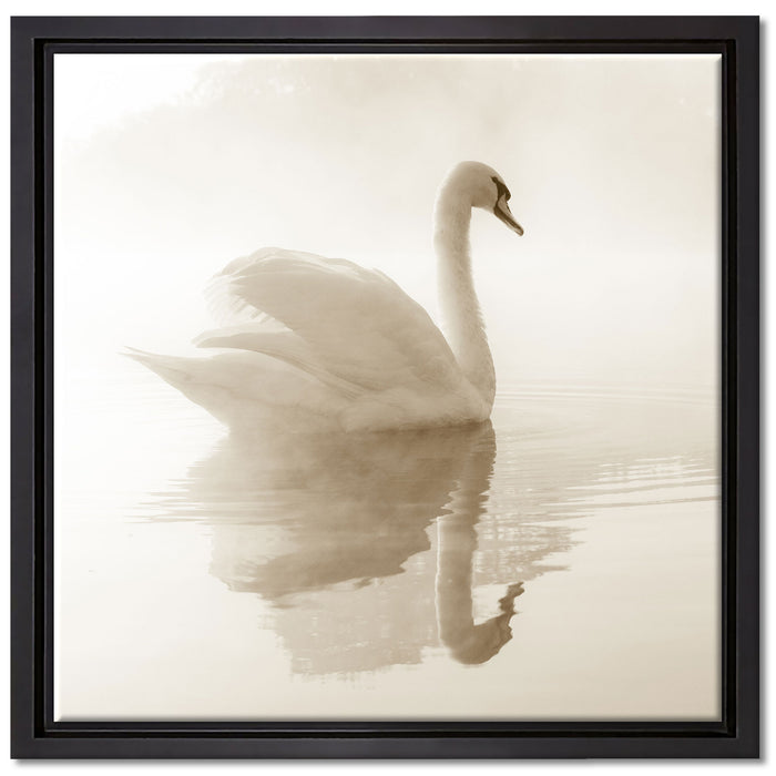 Schwan im Morgennebel auf Leinwandbild Quadratisch gerahmt Größe 40x40