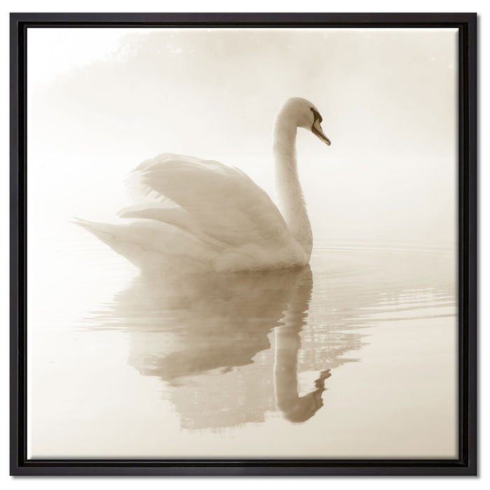 Schwan im Morgennebel auf Leinwandbild Quadratisch gerahmt Größe 60x60