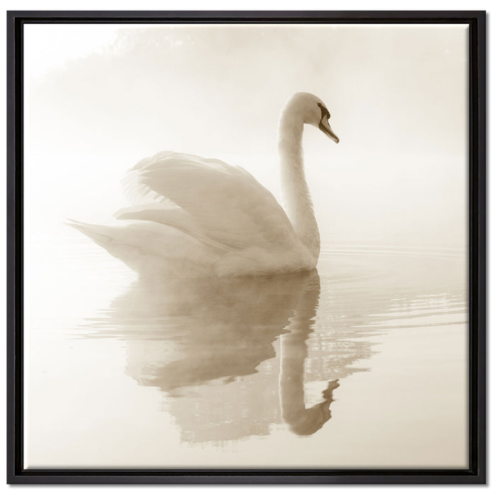 Schwan im Morgennebel auf Leinwandbild Quadratisch gerahmt Größe 70x70