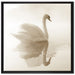 Schwan im Morgennebel auf Leinwandbild Quadratisch gerahmt Größe 70x70