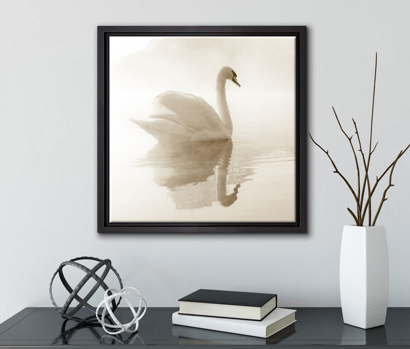Schwan im Morgennebel  auf Leinwandbild Quadratisch gerahmt mit Kirschblüten