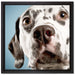 Süßer Dalmatiner auf Leinwandbild Quadratisch gerahmt Größe 40x40