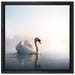 traumhafter weißer Schwan im See auf Leinwandbild Quadratisch gerahmt Größe 40x40