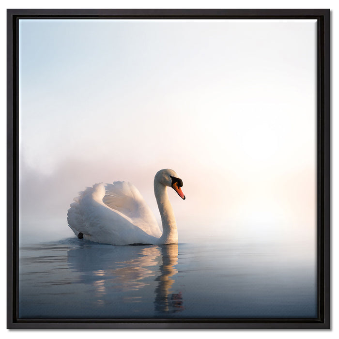 traumhafter weißer Schwan im See auf Leinwandbild Quadratisch gerahmt Größe 60x60