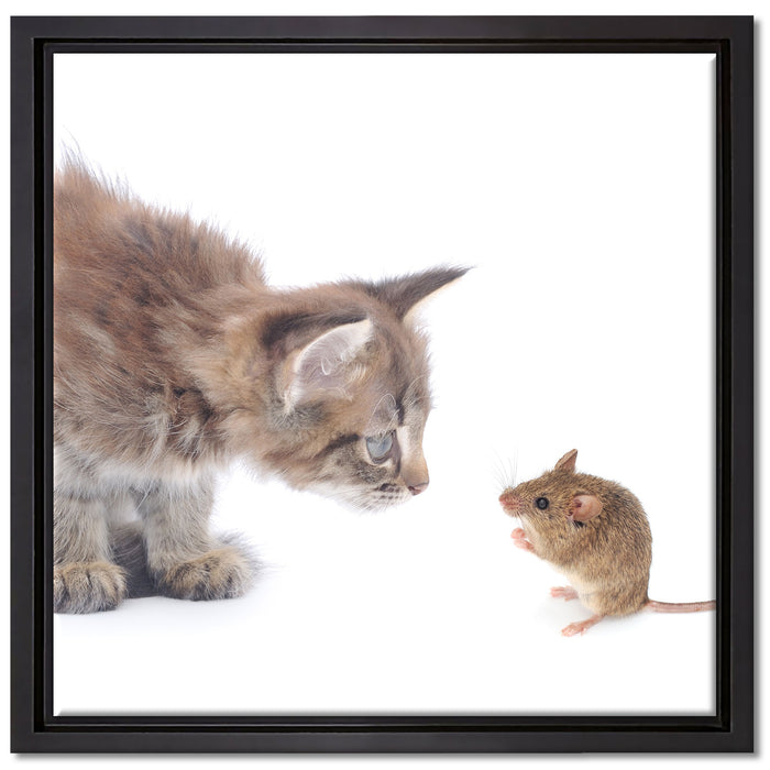 Katze und Maus Freunde auf Leinwandbild Quadratisch gerahmt Größe 40x40