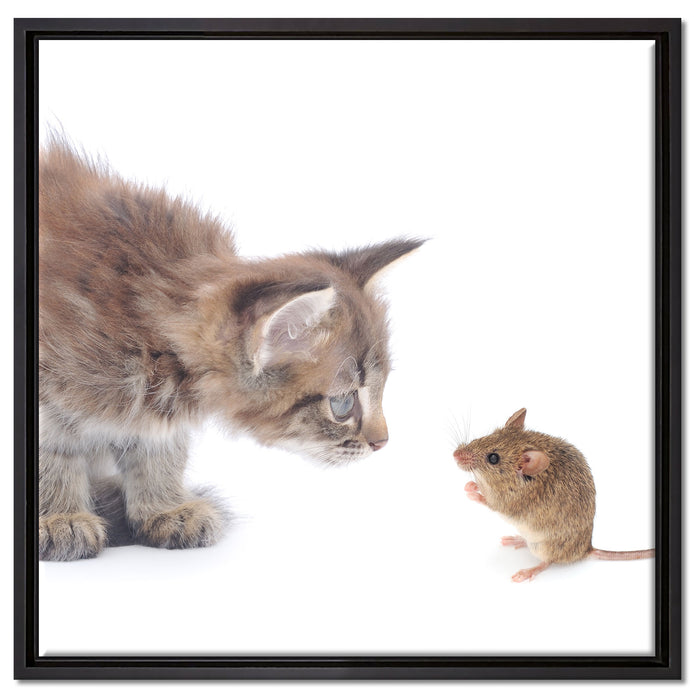 Katze und Maus Freunde auf Leinwandbild Quadratisch gerahmt Größe 60x60