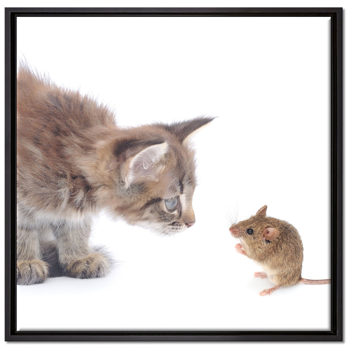 Katze und Maus Freunde auf Leinwandbild Quadratisch gerahmt Größe 70x70