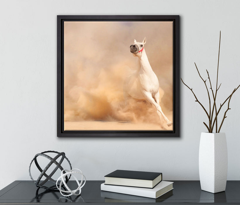 weißes Pferd in der Wüste  auf Leinwandbild Quadratisch gerahmt mit Kirschblüten