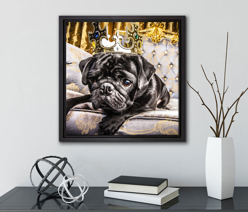 Süßer Mops auf dem Thron  auf Leinwandbild Quadratisch gerahmt mit Kirschblüten