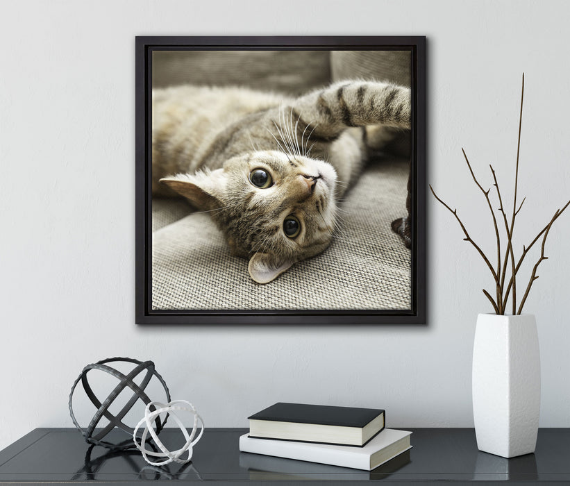 Süßes Kätzchen spielt  auf Leinwandbild Quadratisch gerahmt mit Kirschblüten