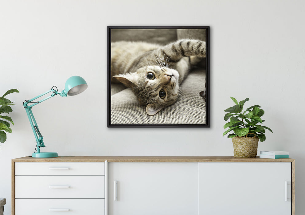Süßes Kätzchen spielt auf Leinwandbild gerahmt Quadratisch verschiedene Größen im Wohnzimmer