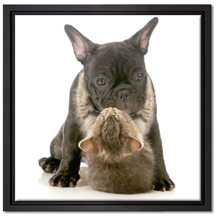 Katze und Mobs Freunde fürs Leben auf Leinwandbild Quadratisch gerahmt Größe 40x40