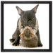Katze und Mobs Freunde fürs Leben auf Leinwandbild Quadratisch gerahmt Größe 40x40