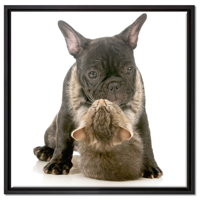 Katze und Mobs Freunde fürs Leben auf Leinwandbild Quadratisch gerahmt Größe 60x60