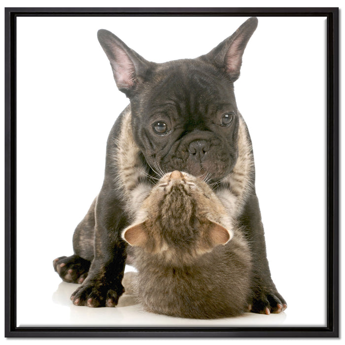 Katze und Mobs Freunde fürs Leben auf Leinwandbild Quadratisch gerahmt Größe 70x70