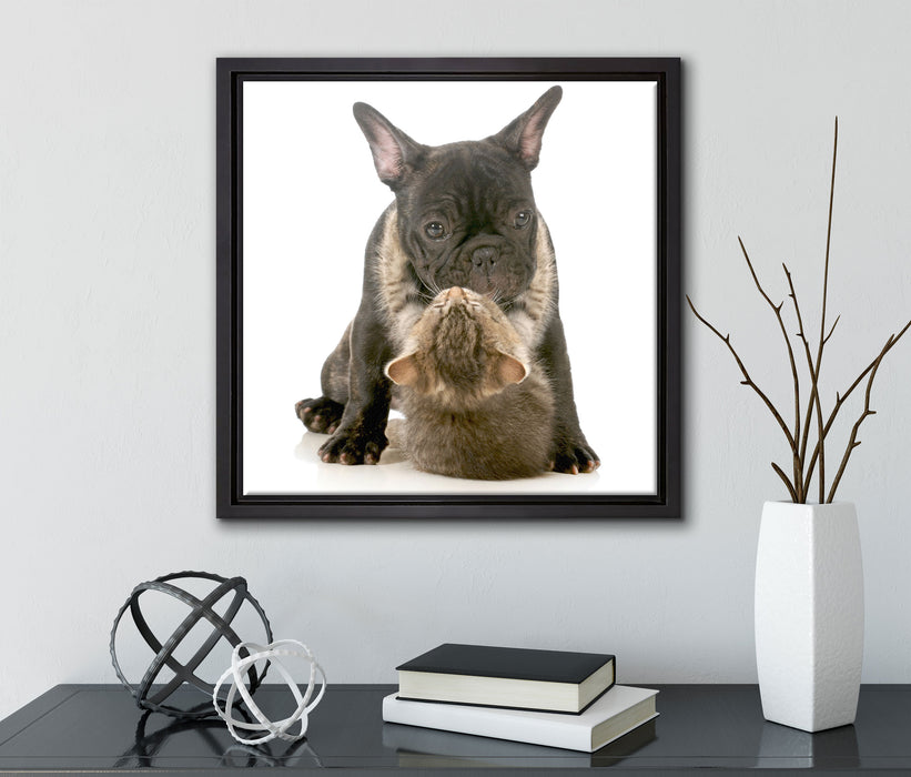 Katze und Mobs Freunde fürs Leben  auf Leinwandbild Quadratisch gerahmt mit Kirschblüten