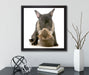 Katze und Mobs Freunde fürs Leben  auf Leinwandbild Quadratisch gerahmt mit Kirschblüten