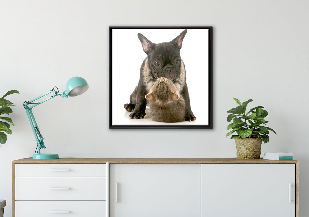 Katze und Mobs Freunde fürs Leben auf Leinwandbild gerahmt Quadratisch verschiedene Größen im Wohnzimmer