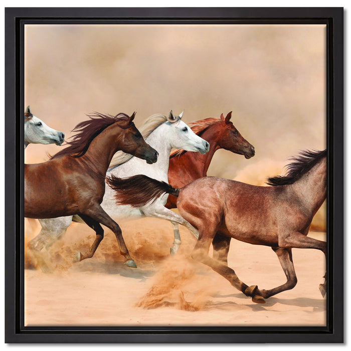 Western Pferde in Wüste auf Leinwandbild Quadratisch gerahmt Größe 40x40