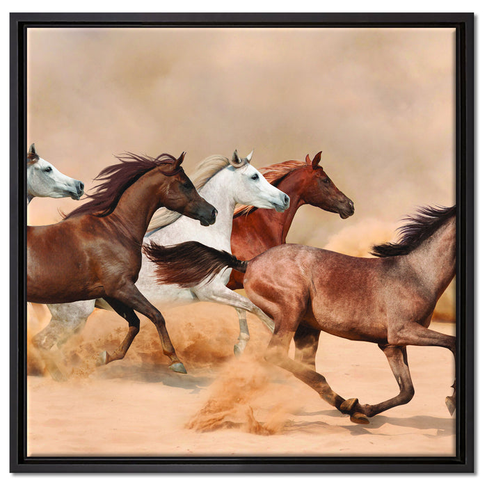 Western Pferde in Wüste auf Leinwandbild Quadratisch gerahmt Größe 60x60