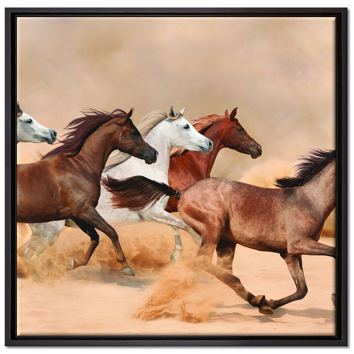 Western Pferde in Wüste auf Leinwandbild Quadratisch gerahmt Größe 70x70