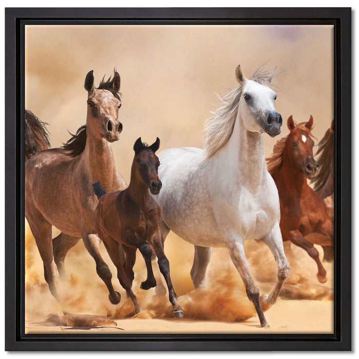 Western Pferde mit Fohlen auf Leinwandbild Quadratisch gerahmt Größe 40x40