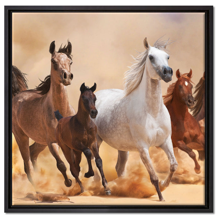 Western Pferde mit Fohlen auf Leinwandbild Quadratisch gerahmt Größe 60x60