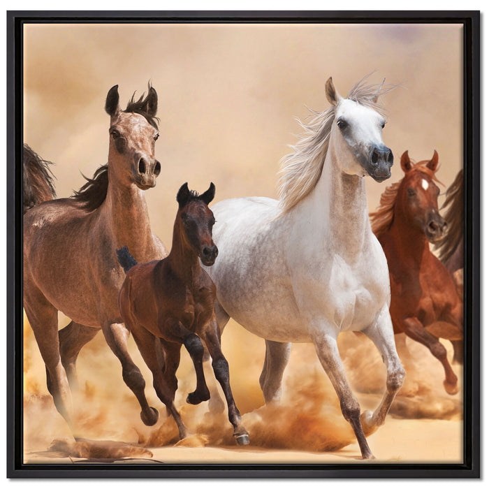 Western Pferde mit Fohlen auf Leinwandbild Quadratisch gerahmt Größe 70x70