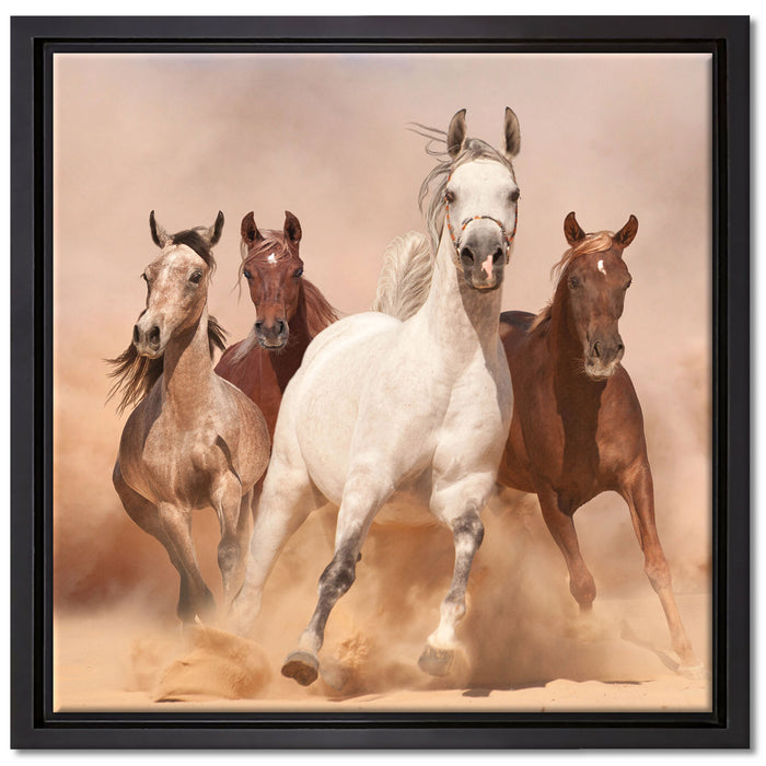 Western Pferde in Wüste auf Leinwandbild Quadratisch gerahmt Größe 40x40