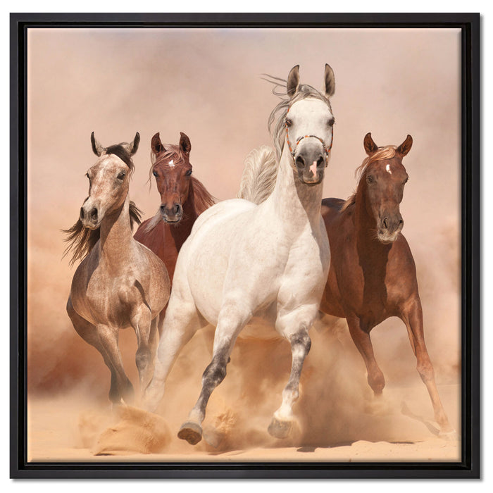 Western Pferde in Wüste auf Leinwandbild Quadratisch gerahmt Größe 60x60