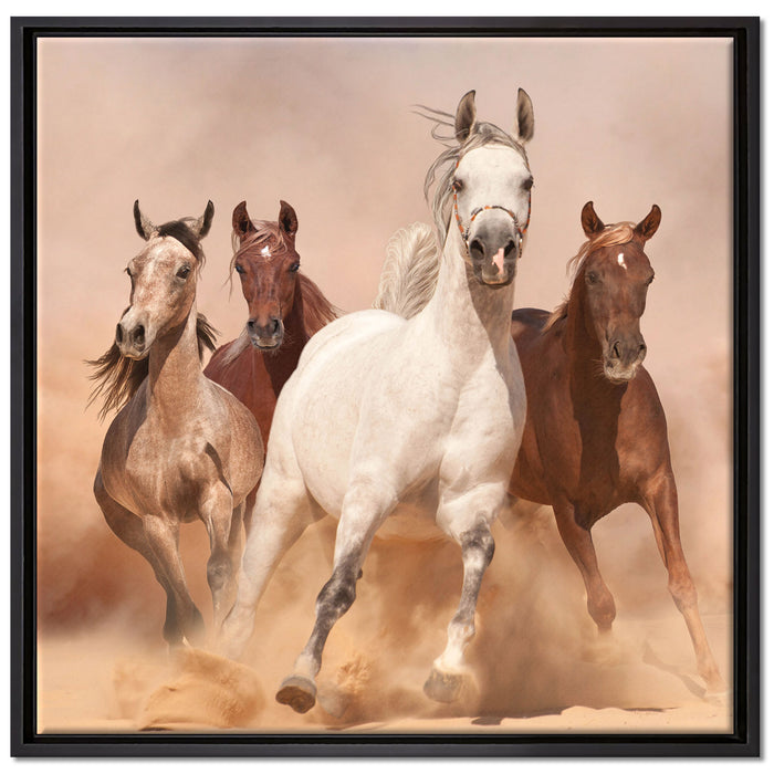 Western Pferde in Wüste auf Leinwandbild Quadratisch gerahmt Größe 70x70