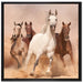 Western Pferde in Wüste auf Leinwandbild Quadratisch gerahmt Größe 70x70